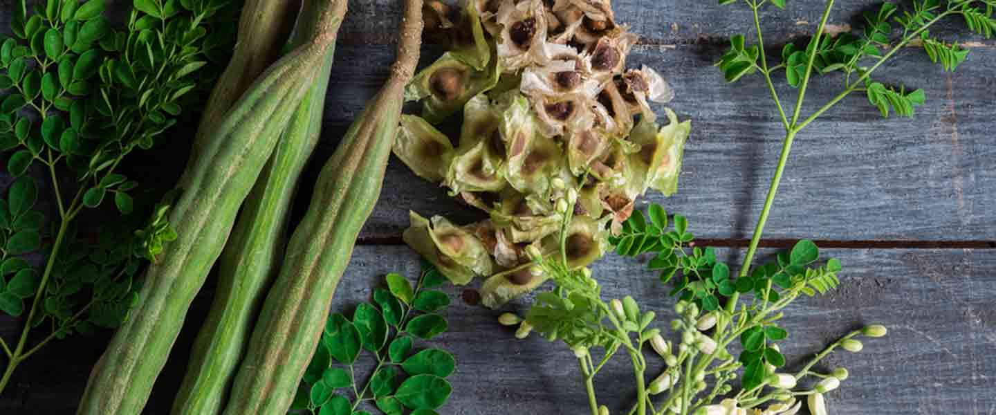 Apakah Teh Moringa, Apakah Kebaikan Teh Moringa?